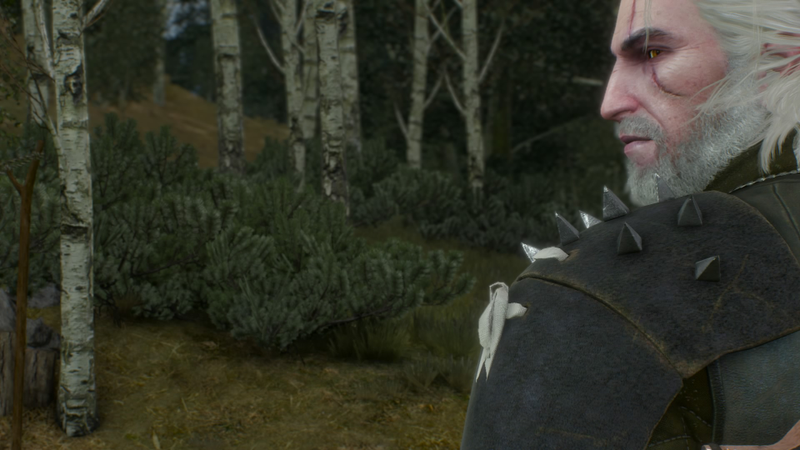 Illustration for article titled The Witcher 3: Wild Hunt: The Kotaku Review